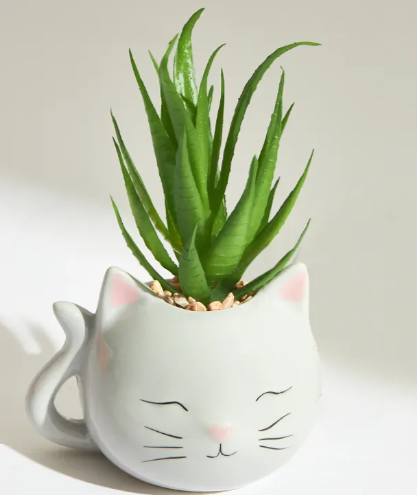 Cat planter