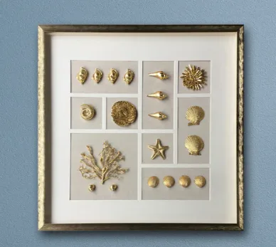 Gold Seashell Shadow Box Art